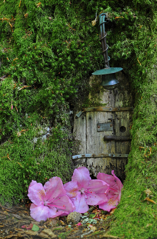Furzey Gardens New Forest Fairy Door 'Lamp Lair'